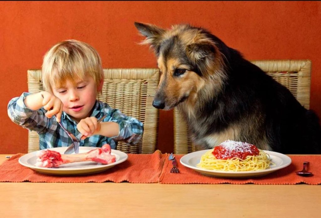 Могут ли собаки есть человеческую пищу?