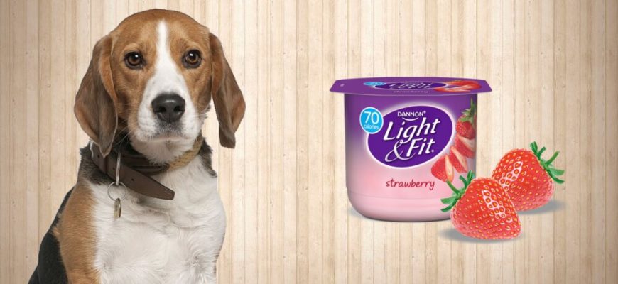 Можно ли давать собаке йогурт