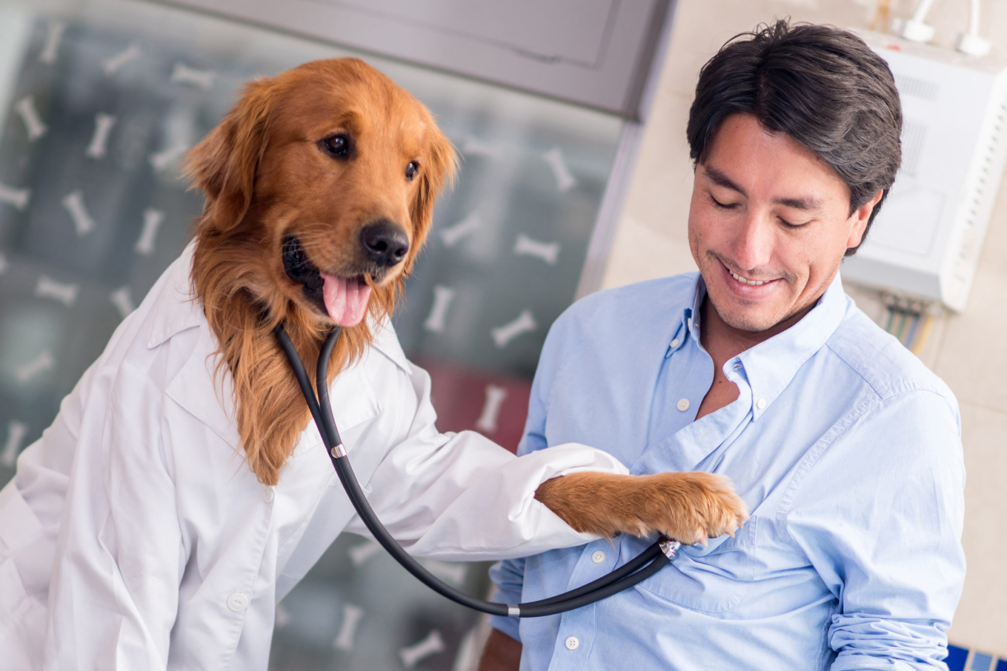 Лечение пса у мужчин. Собака врач. Собака медик. Собака терапевт. Ветеринар с собакой.