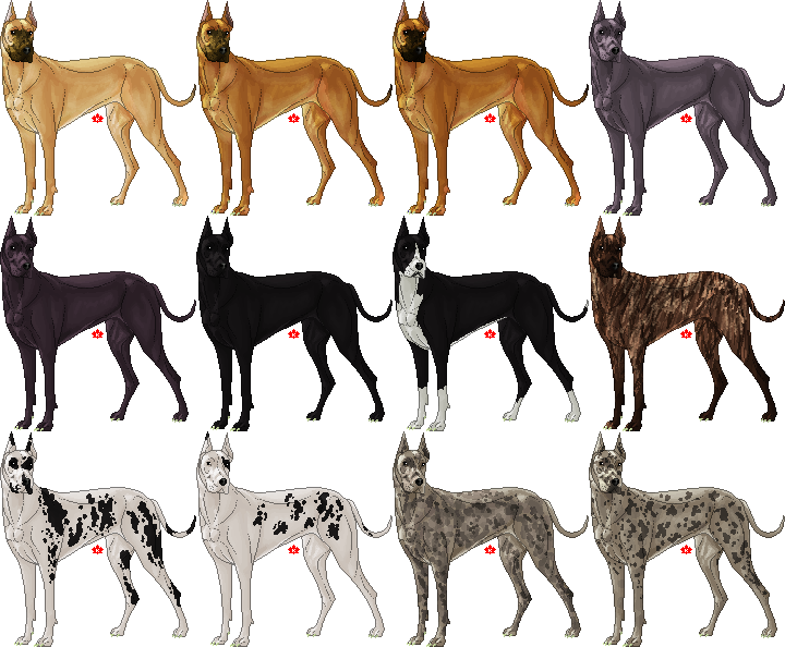 Немецкий дог - разные цвета собаки