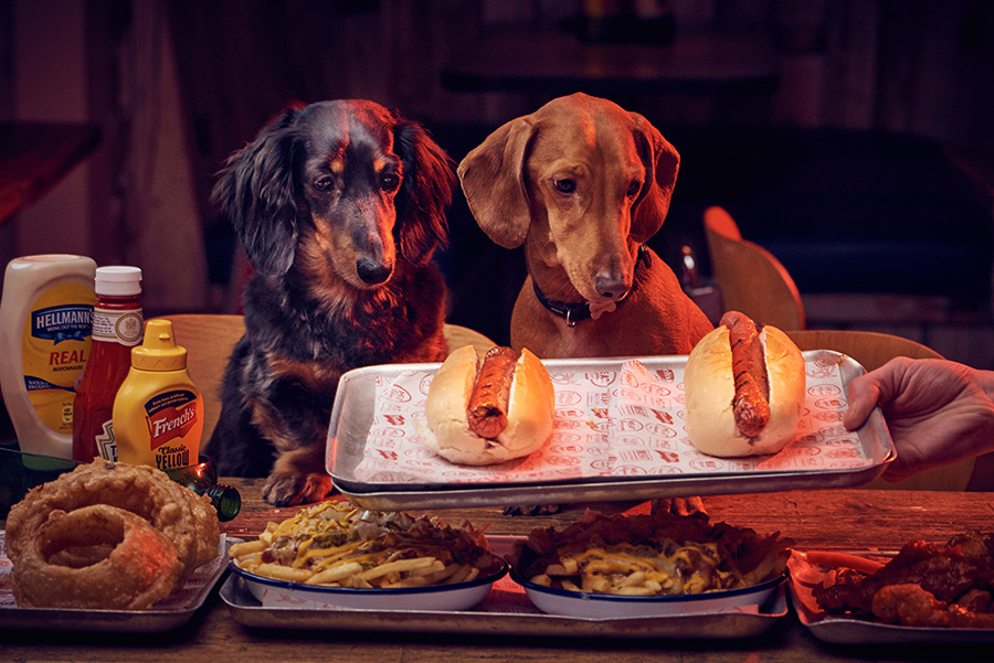 Собаки едят хот-доги за столом