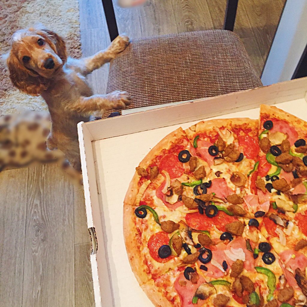 Собака хочет съесть целую пиццу