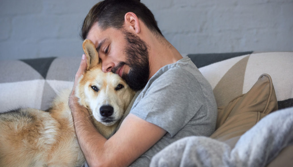 Собака обнимает человека